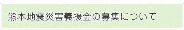 �ߘa8�N�F�{�n�k�ЊQ�`�����̕�W�ɂ���